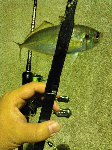 レガーメ　牙突